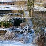 image: Image from the photoset ‘
parc (x)
’.