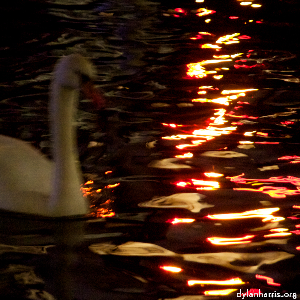 Image 'amsterdam (xix) 1'.