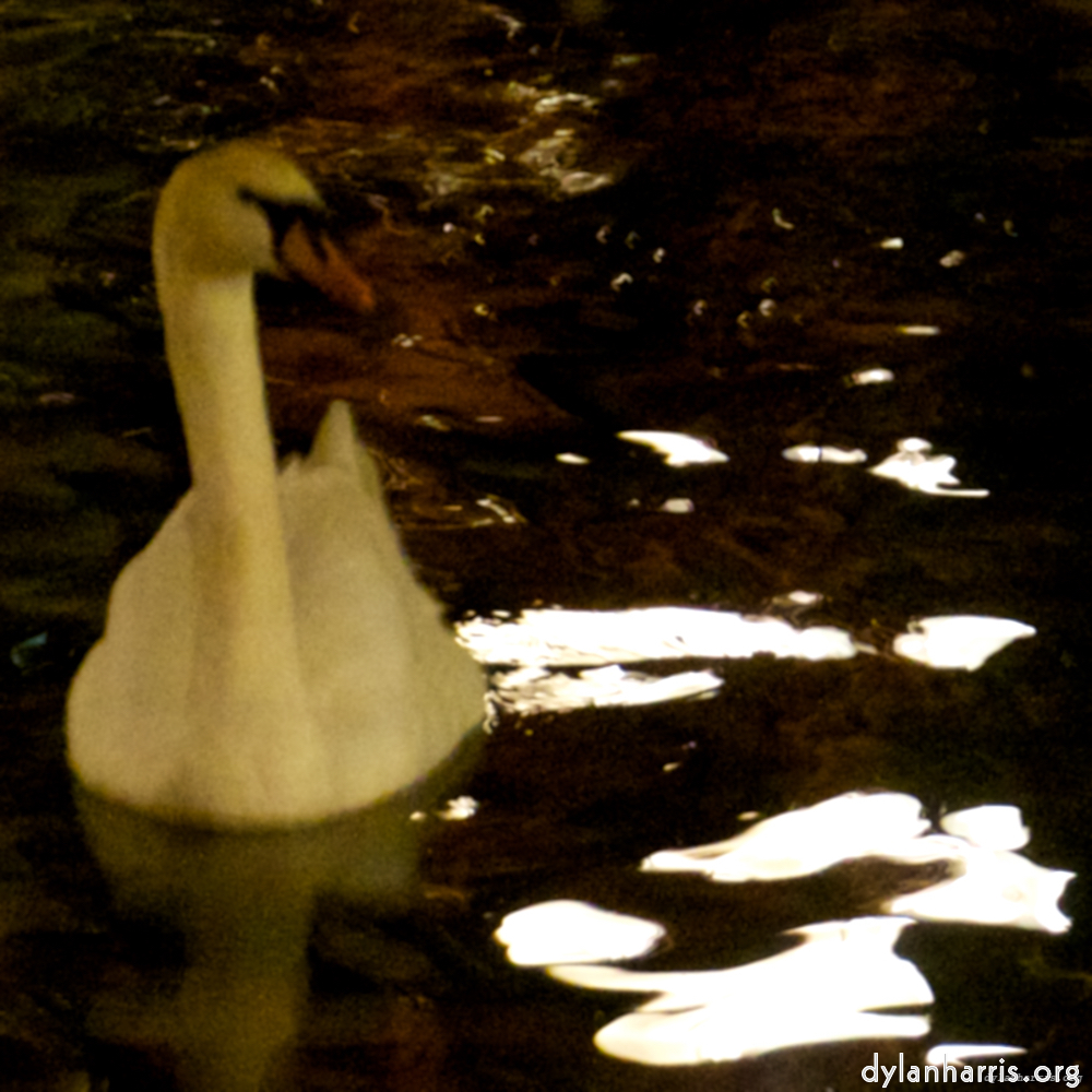 Image: Image 'amsterdam (xix) 2'.