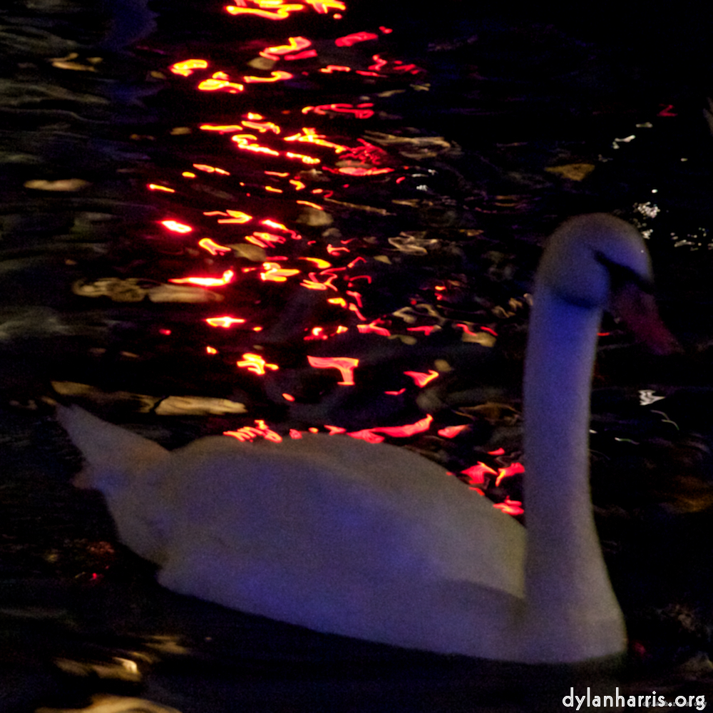 Image: Image 'amsterdam (xix) 3'.