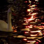 Image: First image from the photoset 'amsterdam (xix)'.