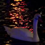 Image: Third image from the photoset 'amsterdam (xix)'.