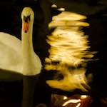 Image: Sixth image from the photoset 'amsterdam (xix)'.