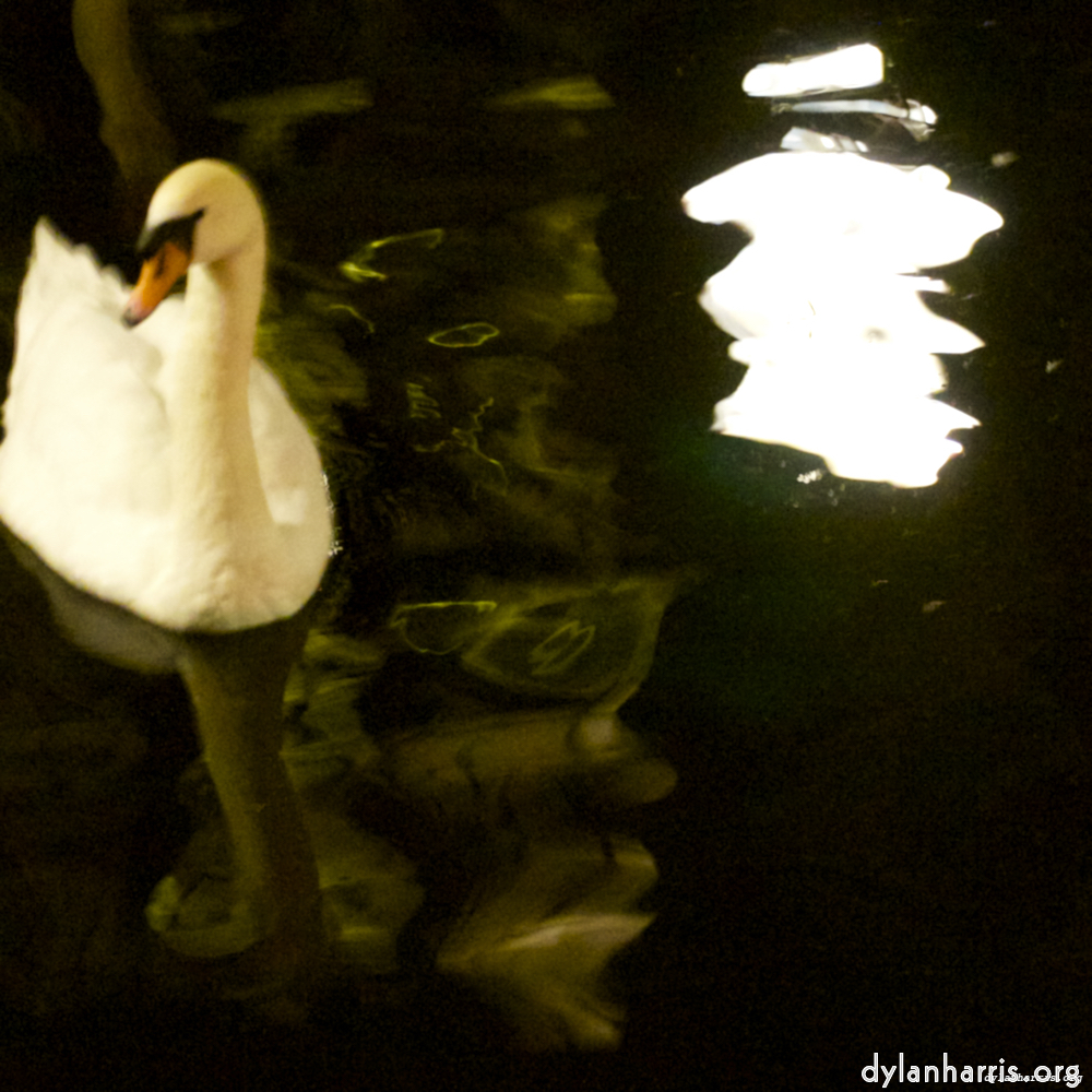 Image: Image 'amsterdam (xx) 1'.