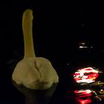 Image: Second image from the photoset 'amsterdam (xx)'.