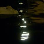 Image: Fourth image from the photoset 'amsterdam (xx)'.