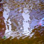 Sixth image from the photoset 'amsterdam (xxiii)'.