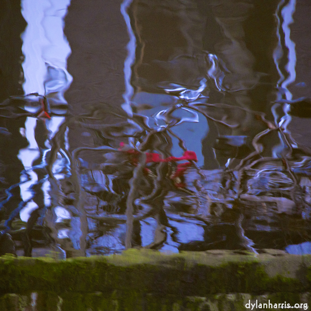 Image 'amsterdam (xxiv) 5'.