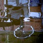 Second image from the photoset 'amsterdam (xxiv)'.