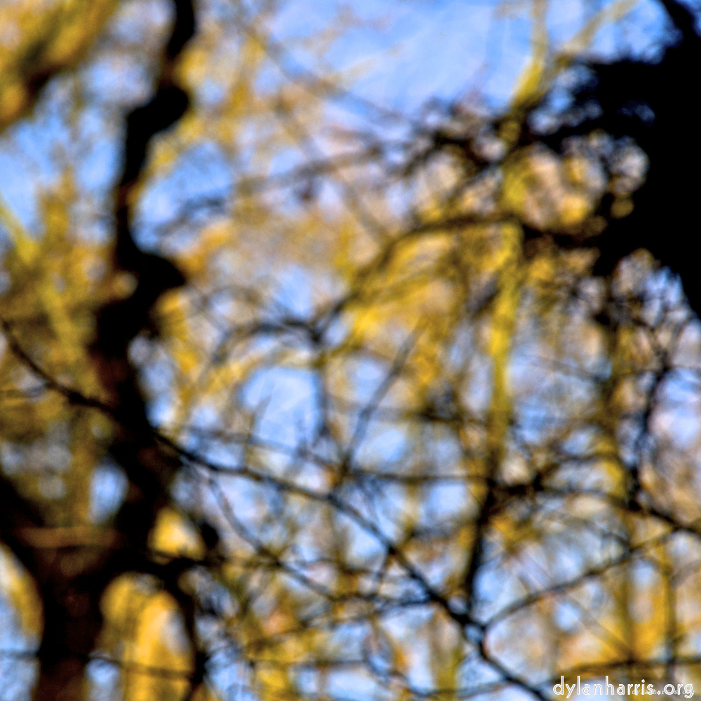 image: This is ‘
swineshead (iii) 4
’.