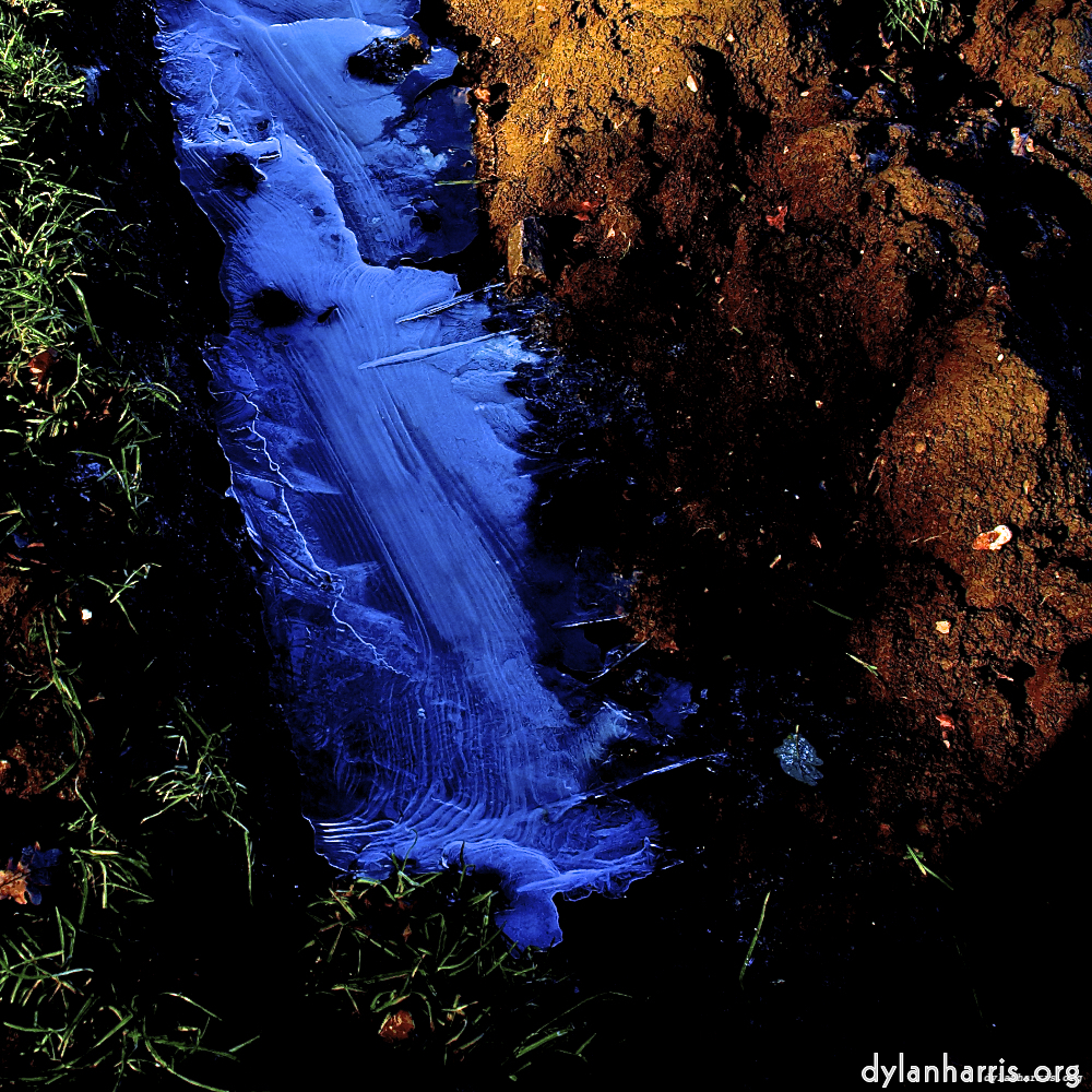 image: This is ‘
swineshead (iv) 5
’.