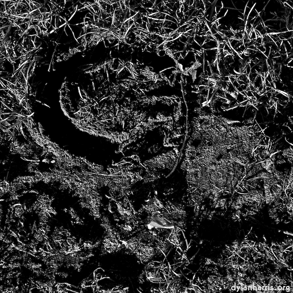 image: This is ‘
swineshead (iv) 6
’.