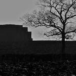 image: Image from the photoset ‘
swineshead (iv)
’.