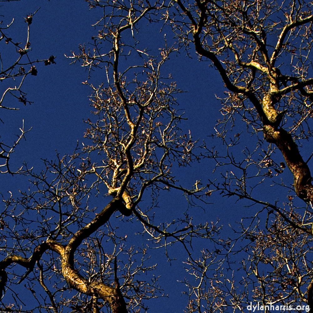 Image: Image 'swineshead (v) 1'.