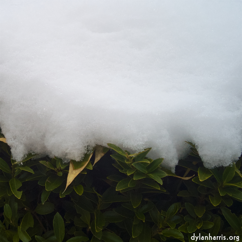 Image: Image 'way to work B (vi) 3'.