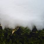 Image: Third image from the photoset 'way to work B (vi)'.