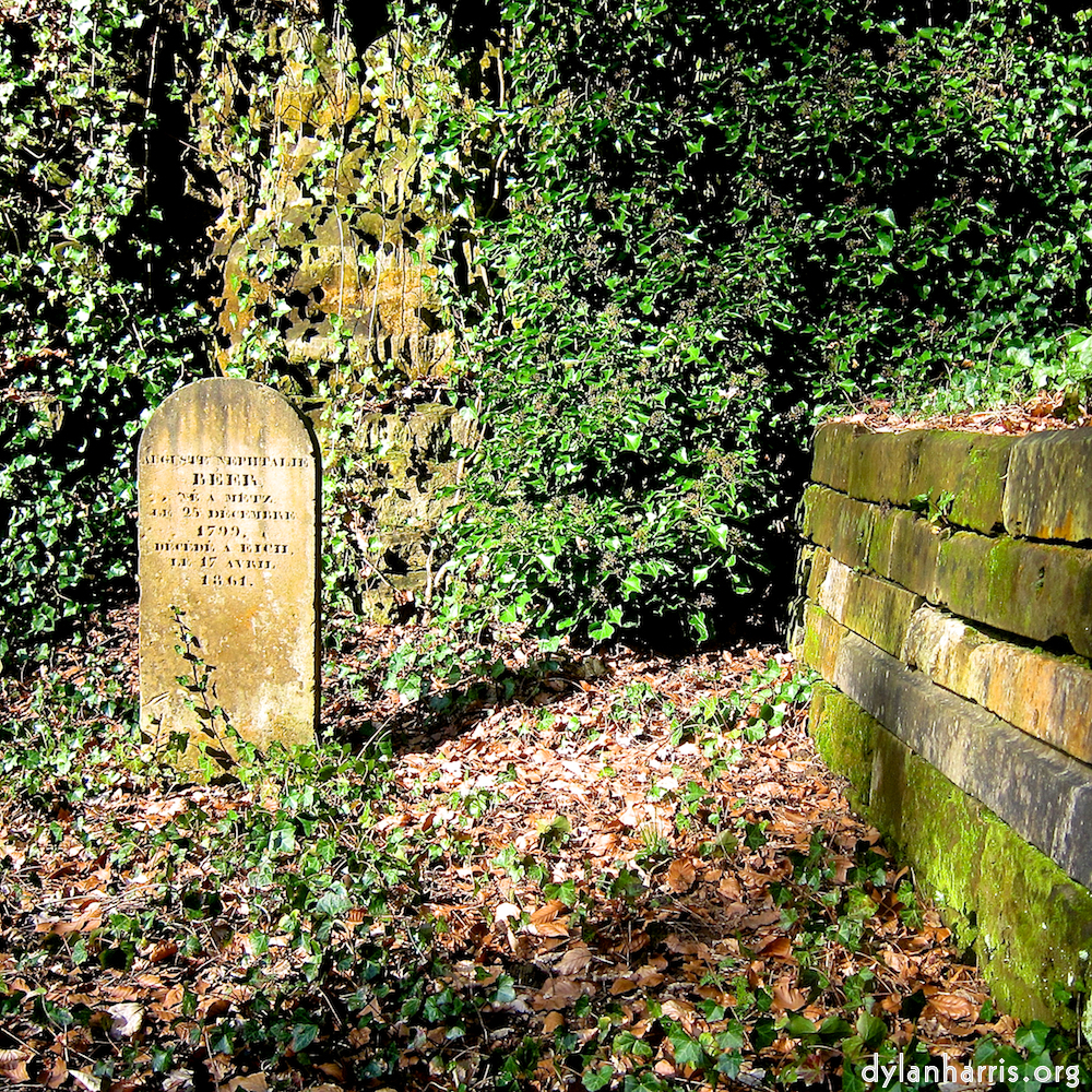 Image 'graveyard (iii) 5'.