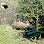 Image: First image from the photoset 'grund (xiii)'.