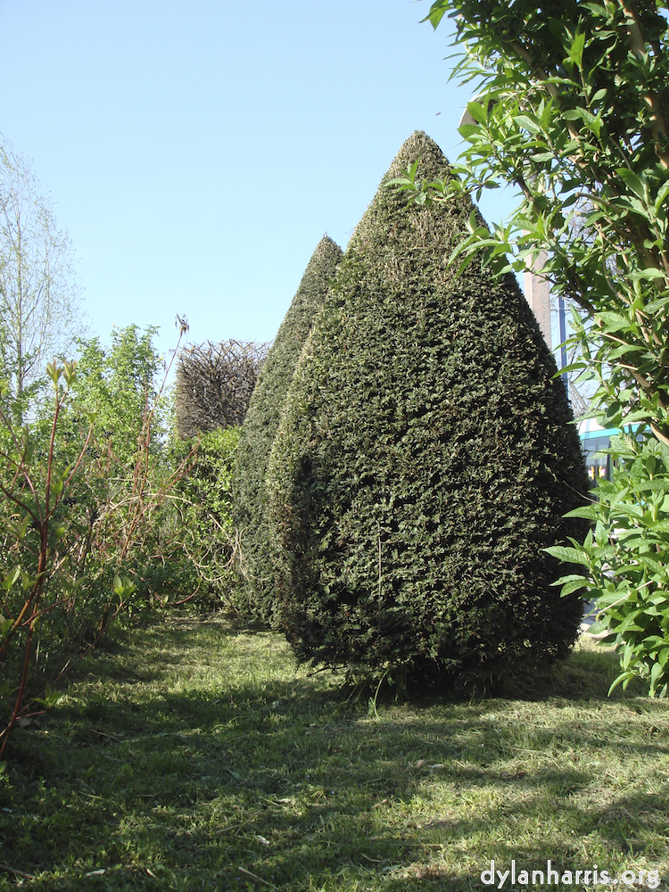 Image: Image 'train (viii) 6'.