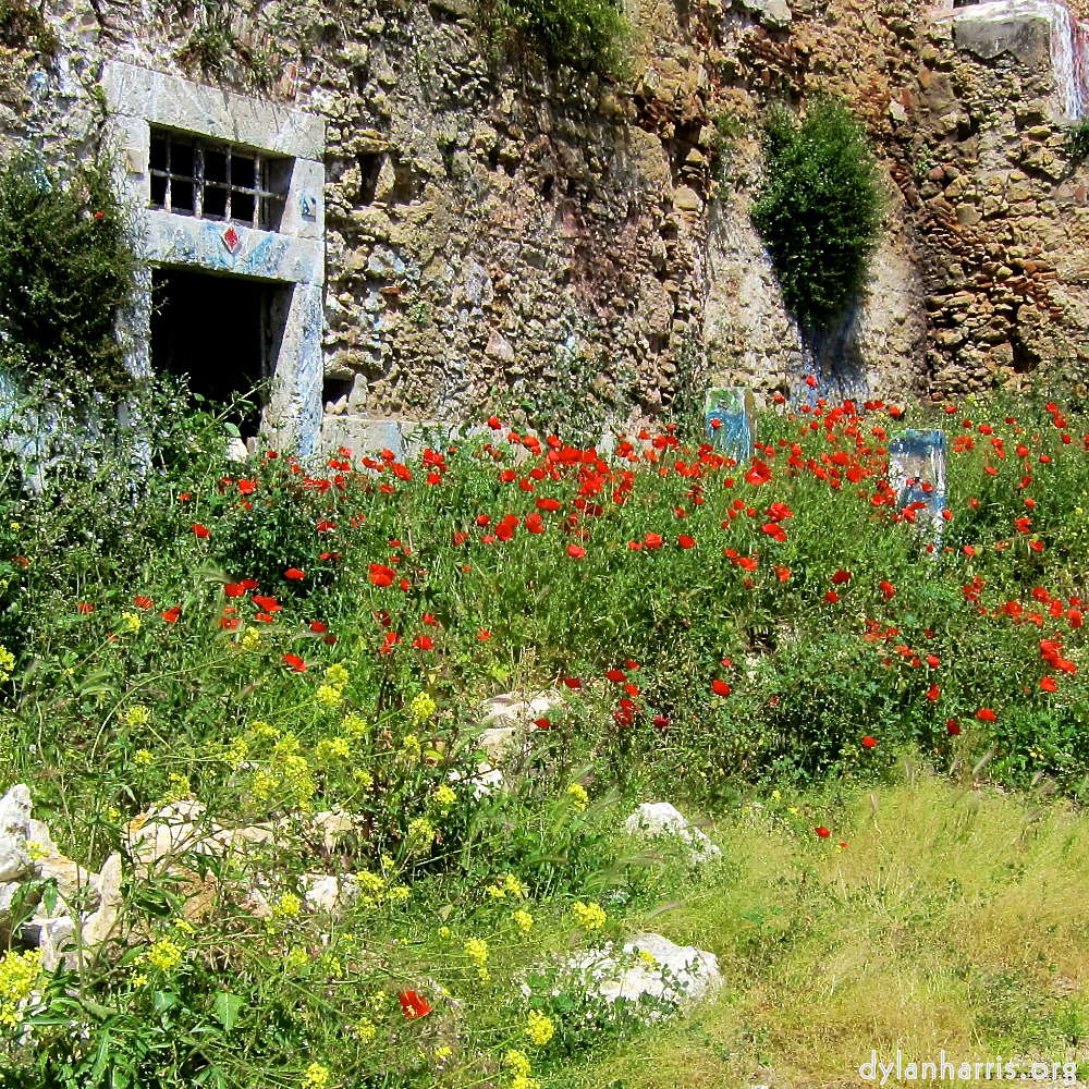 image: This is ‘
lisbon (ii) 1
’.