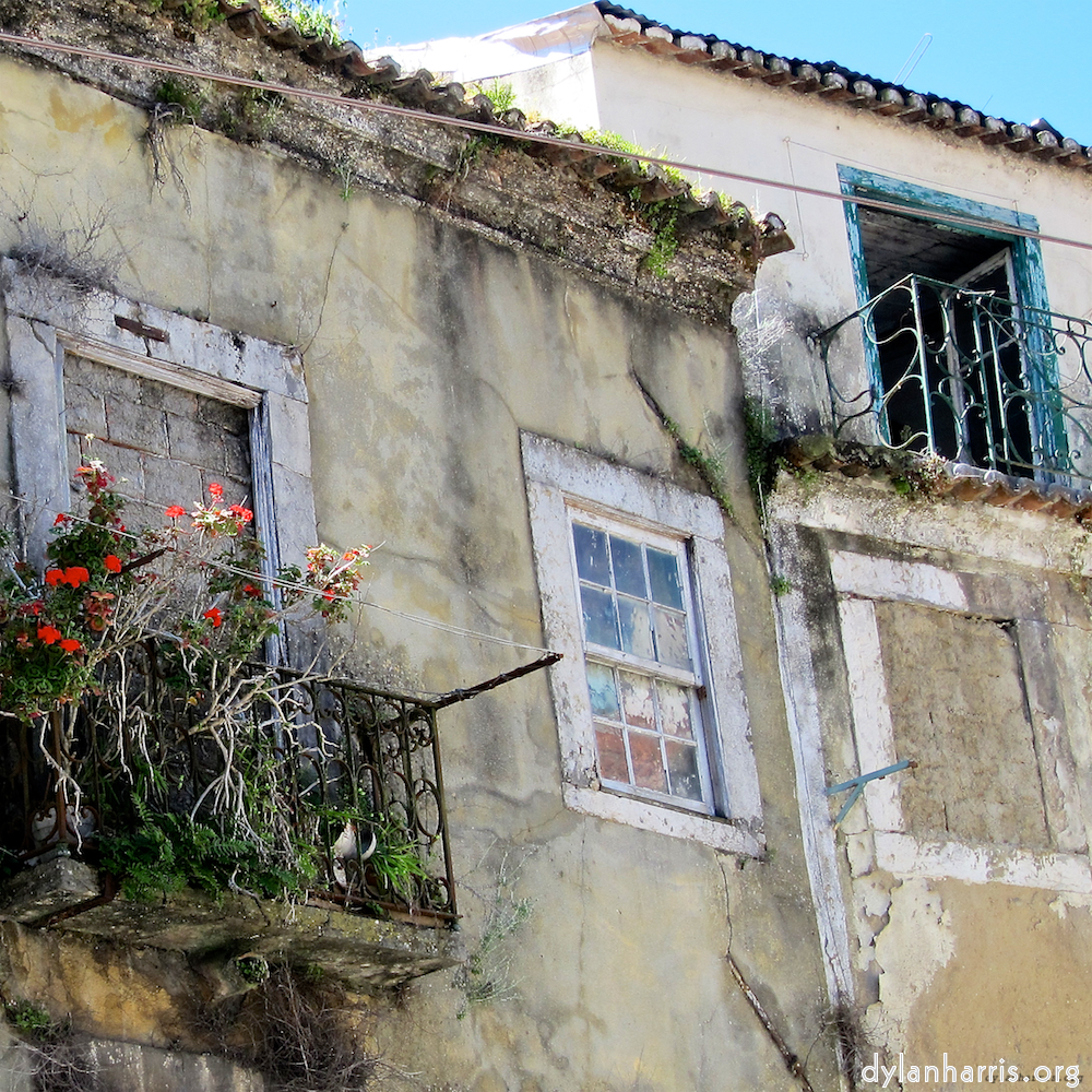 image: This is ‘
lisbon (ii) 10
’.