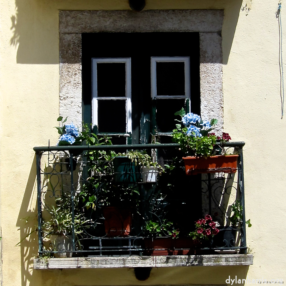 image: This is ‘
lisbon (ii) 9
’.