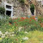 image: Image from the photoset ‘
lisbon (ii)
’.