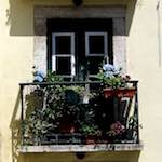 image: Image from the photoset ‘
lisbon (ii)
’.