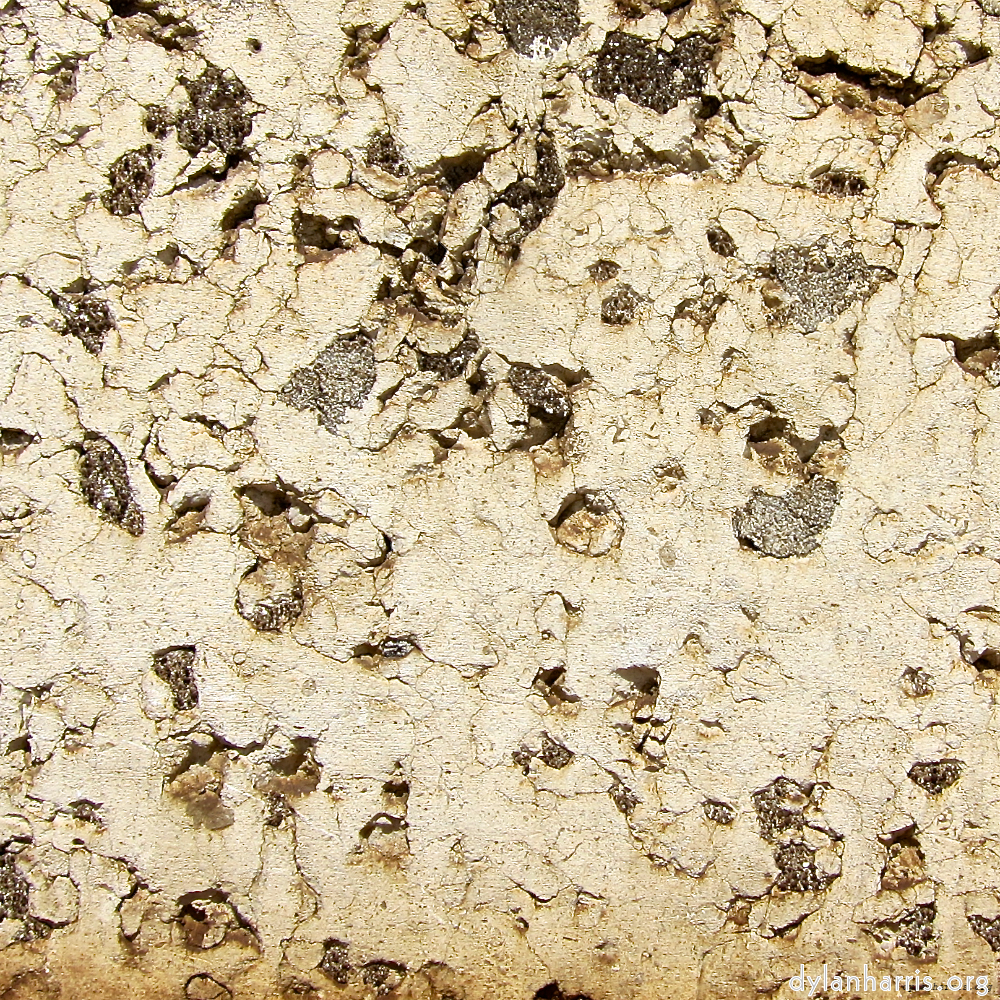 image: This is ‘
lisbon (iii) 6
’.