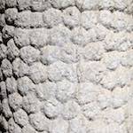 image: Image from the photoset ‘
lisbon (iv)
’.