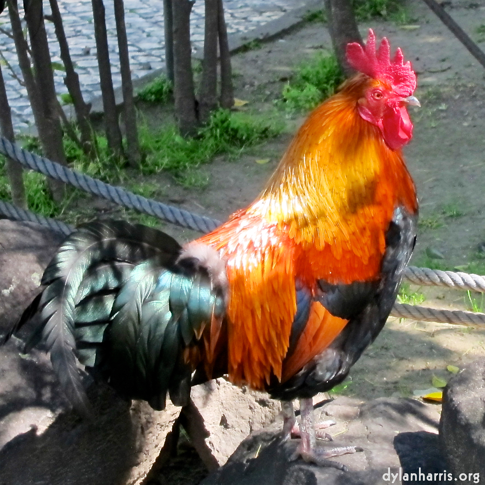 Image: Image 'parc (xxix) 1'.