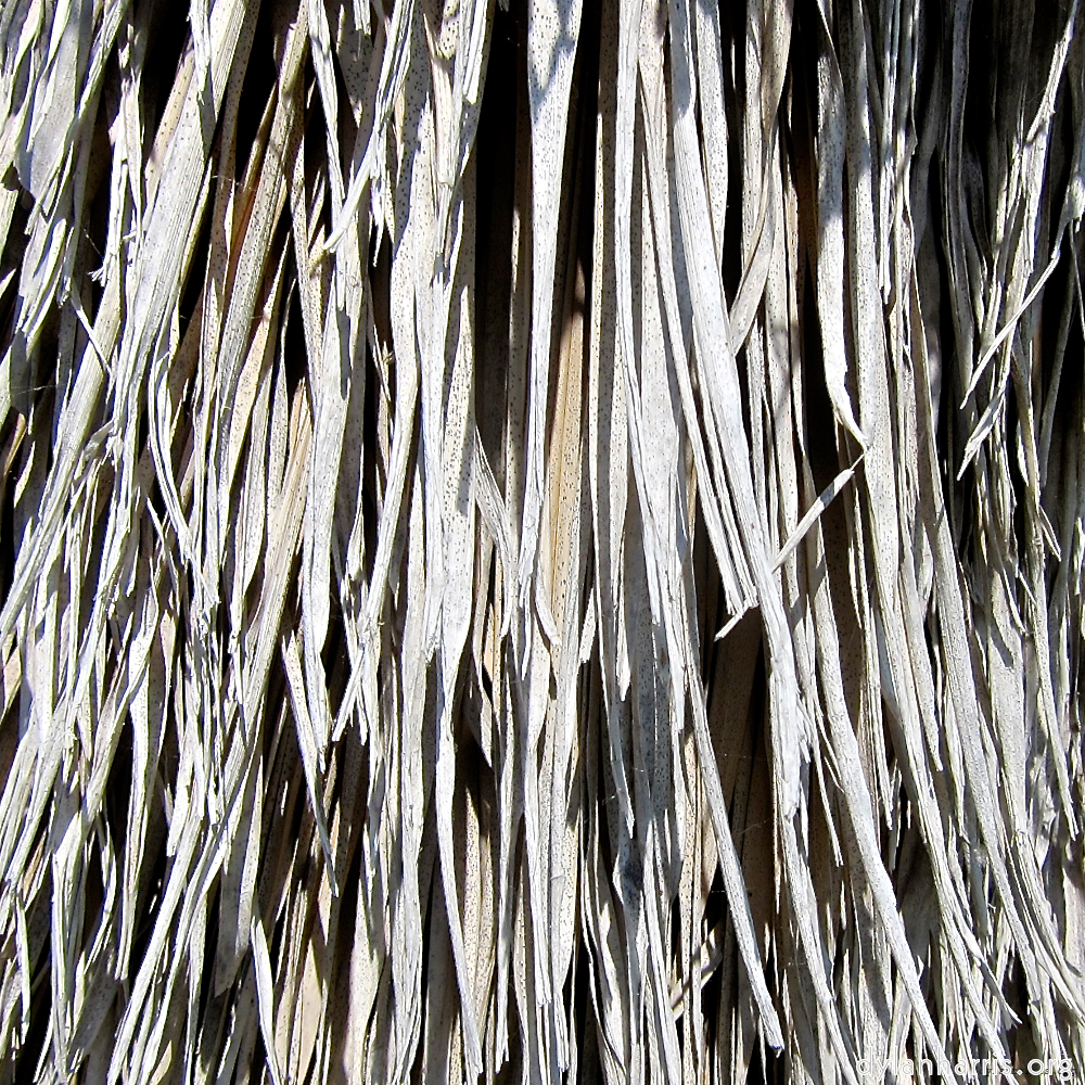 Image: Image 'parc (xxix) 3'.