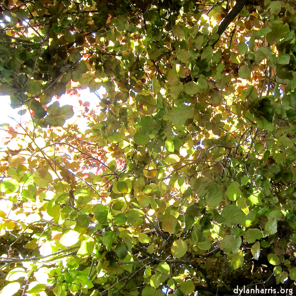 image: This is ‘
parc (xxix) 5
’.