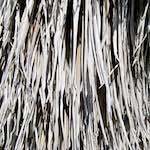 Image: Third image from the photoset 'parc (xxix)'.