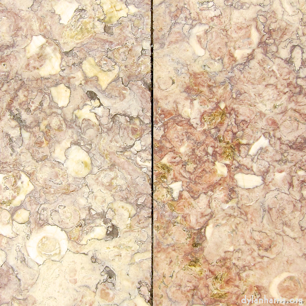 image: This is ‘
lisbon (v) 10
’.