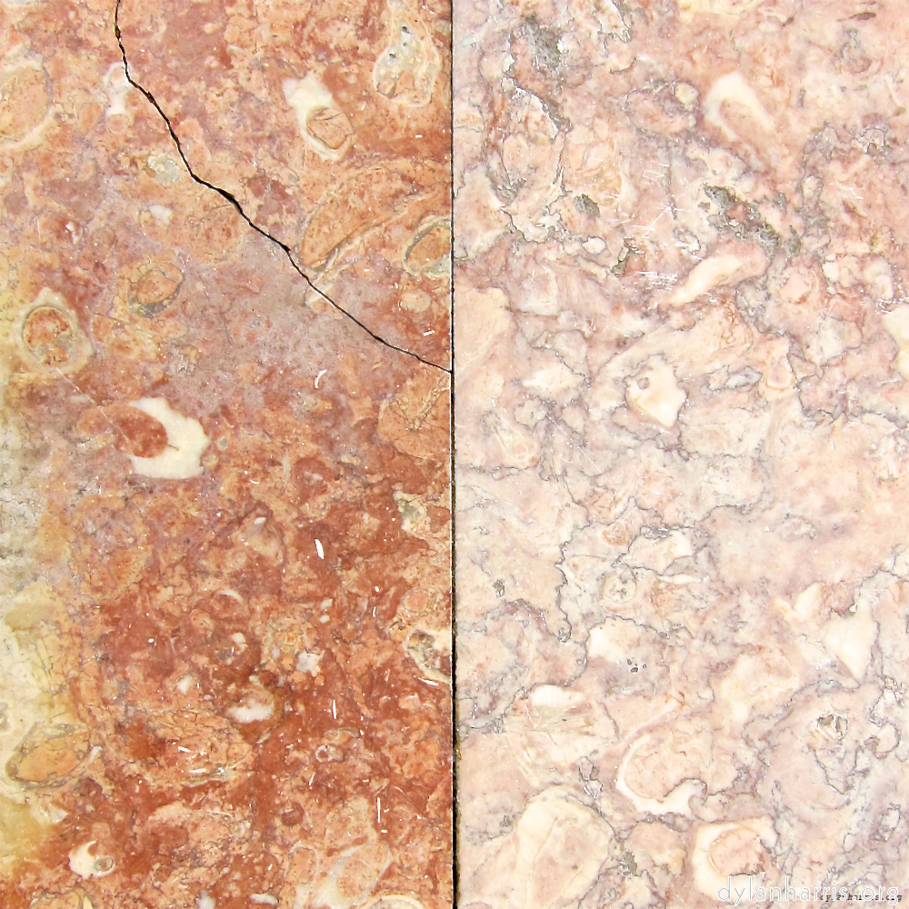 image: This is ‘
lisbon (v) 5
’.