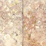 image: Image from the photoset ‘
lisbon (v)
’.