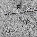 image: Image from the photoset ‘
lisbon (v)
’.