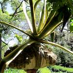 Image: Eighth image from the photoset 'parc (xxx)'.