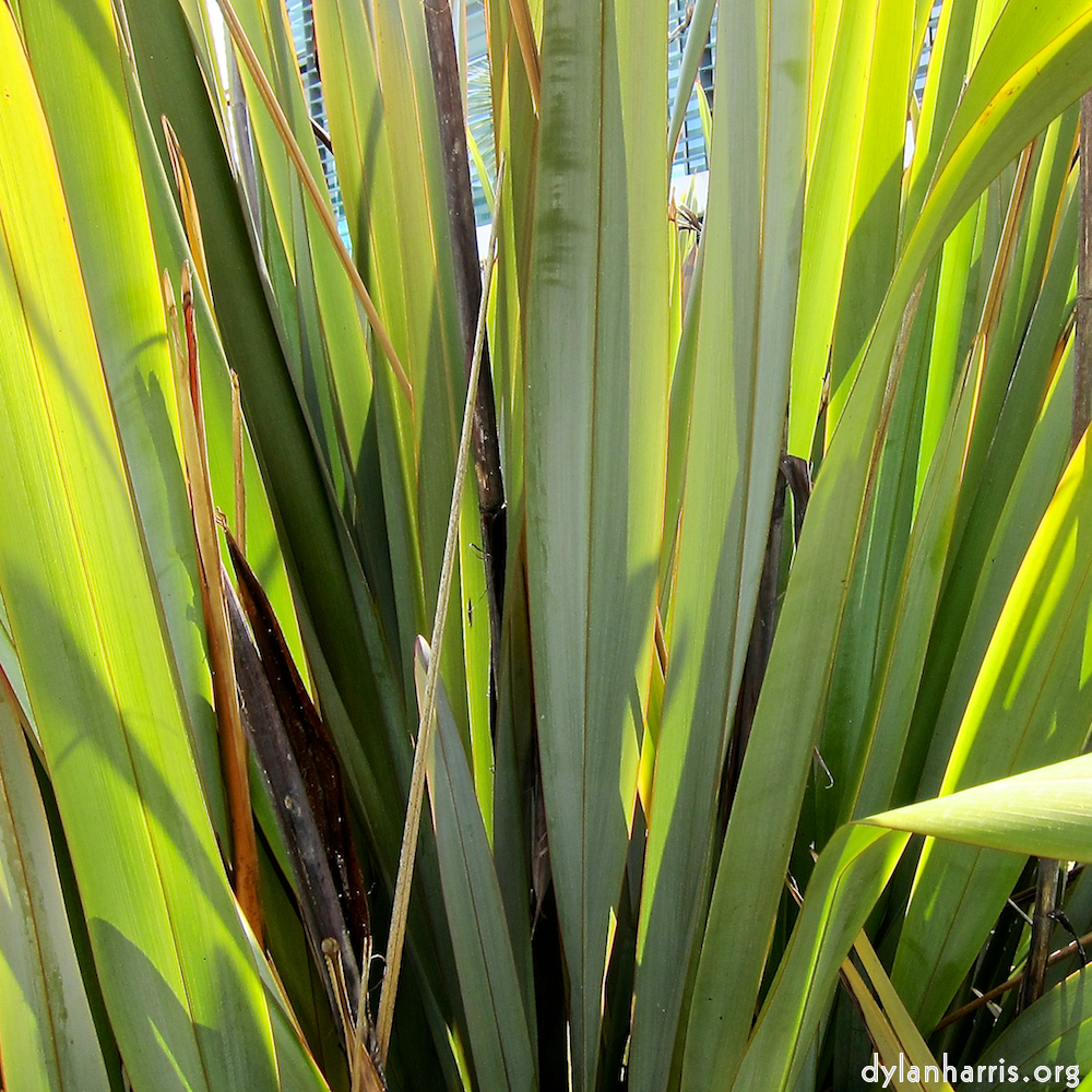 Image: Image 'parc (xxx) 5'.