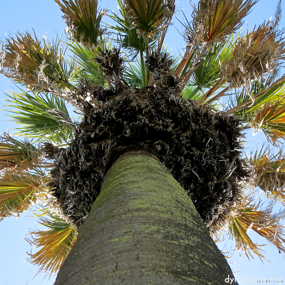 Image: Image 'parc (xxx) 6'.