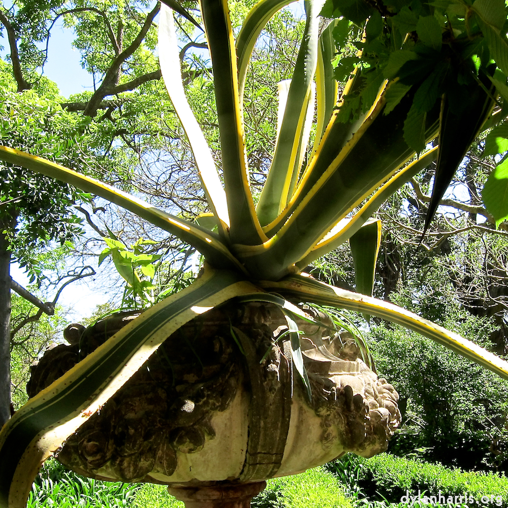 image: Voici ‘parc (xxx) 8’.