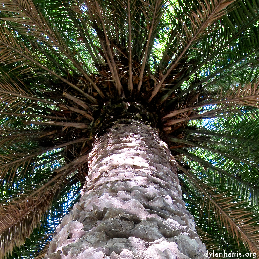 Image: Image 'parc (xxx) 9'.