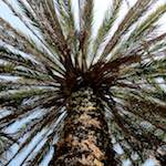 Image: First image from the photoset 'parc (xxx)'.