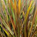 Image: Tenth image from the photoset 'parc (xxx)'.