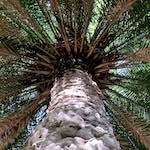 Image: Ninth image from the photoset 'parc (xxx)'.