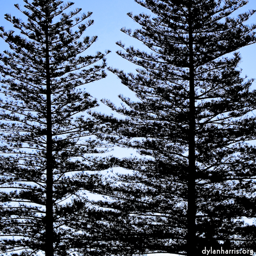 image: This is ‘
sintra 3
’.