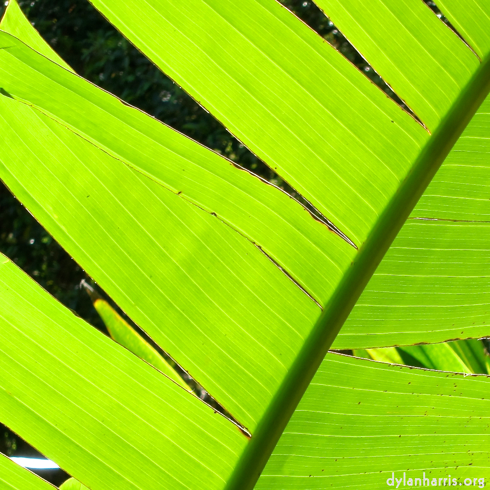 image: This is ‘
sintra 4
’.