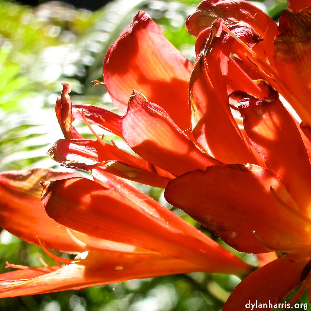 image: This is ‘
sintra 5
’.