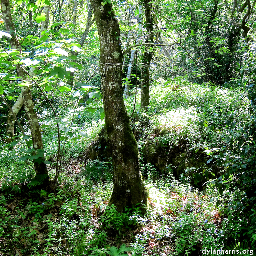 image: This is ‘
sintra 8
’.